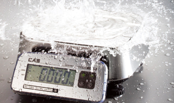 CAS - FW500 Waterproof Stainless Steel Weighing Platform Scale (LED OR LCD) (Trade Approved)