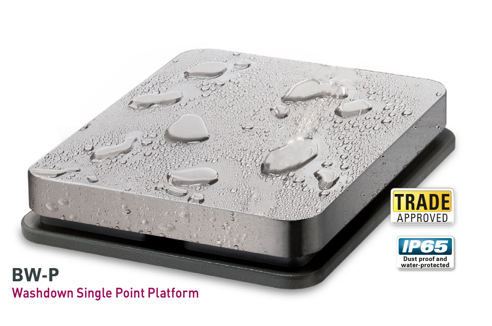 CAS BW Industrial Washdown Platform Scale (Platform with and without indicator available)