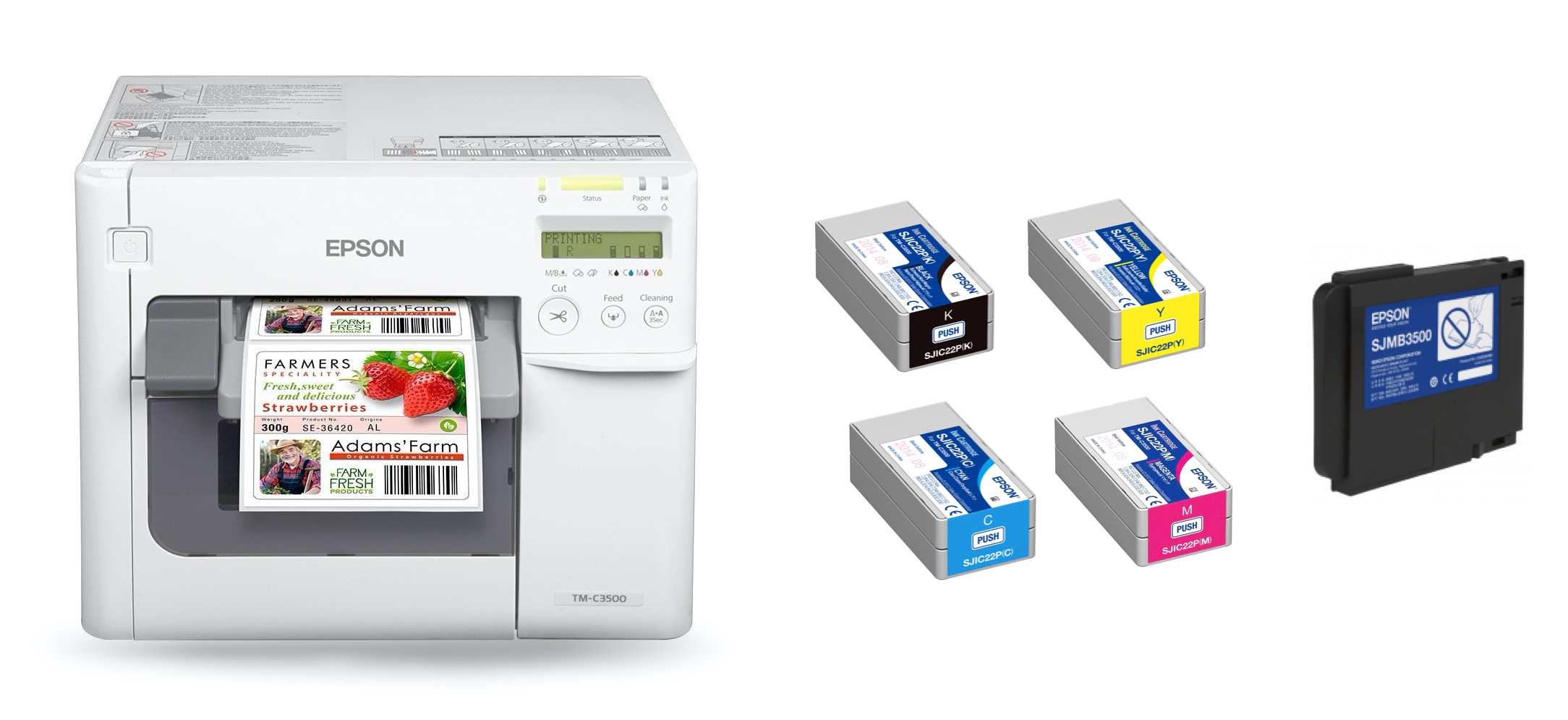 Epson C3500 Colour Label Printer